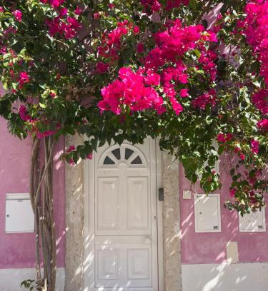 Belem Apartamento | Casa Cor de Rosa
