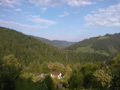Vidra Casa | Casa cu Muscate