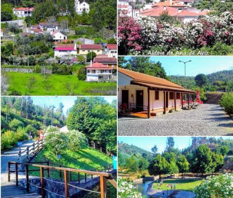 Figueiro dos Vinhos Apartamento | Casa da Aldeia
