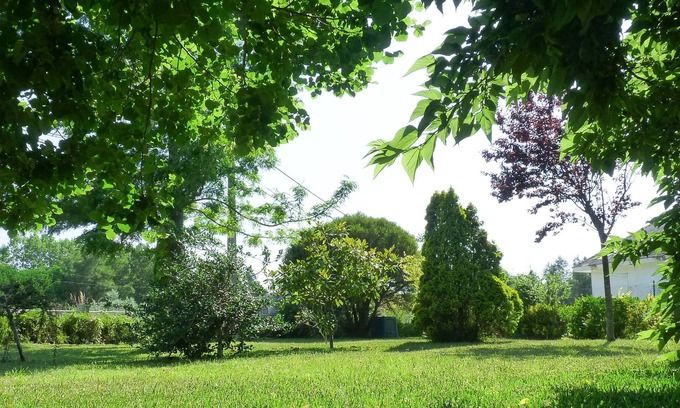 Aveiro Villa | Casa da Balseira una estancia serena cerca de Aveiro