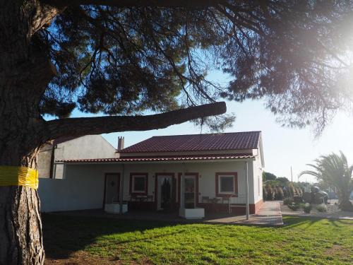Palhais Cabina | Casa das Pipas #6