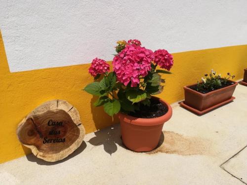 Ribeira Grande Casa | Casa das Sereias
