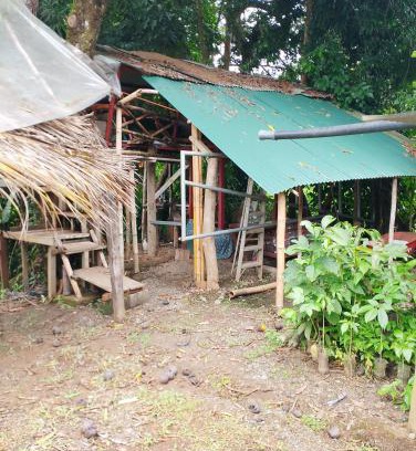 Pacuare Reserve Otro | Casa de árbol familiosa