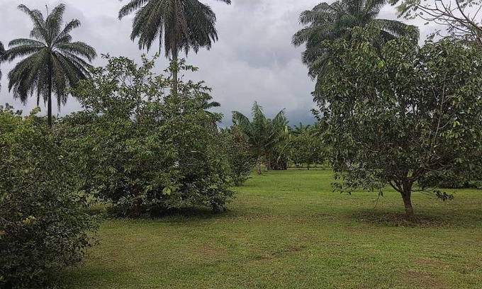 Parrita Casa | Casa de Amigos