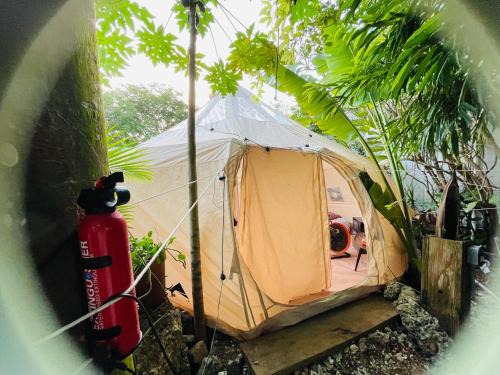Homestead Otro | Casa de Campaña en la Pequeña Selva by Legnalife