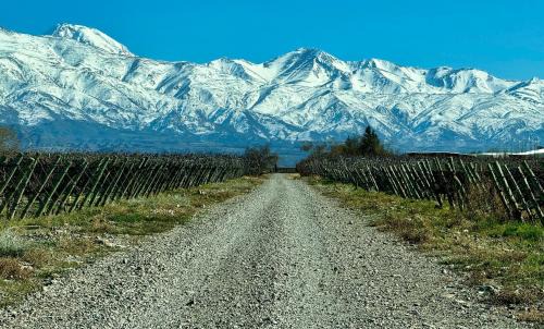 Región vinícola de Mendoza Casa | Casa de Huéspedes La Azul