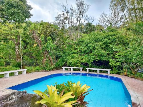 El Valle de Anton Casa | Casa de Huéspedes Privada, piscina con agua termal