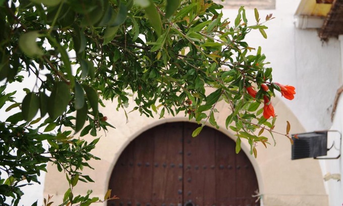 Moclin Casa | Casa de la Placeta del Rincón