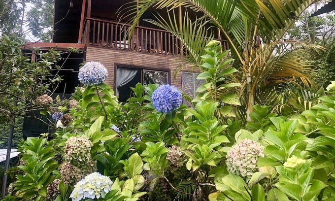 San Gerardo de Dota Casa | Casa de Nubes (La Casa de la Nube)