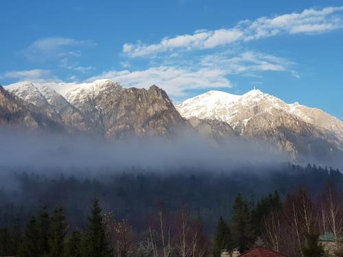 Poiana Tapului Casa | Casa de vacanță Ana, Bușteni