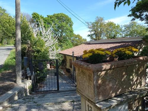 Tolfa Apartamento | Casa dei Faggi