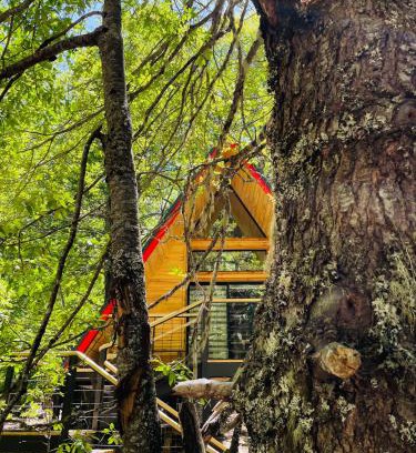 Curacautin Chalet De Esquí | Casa del Árbol - Malalcahuello