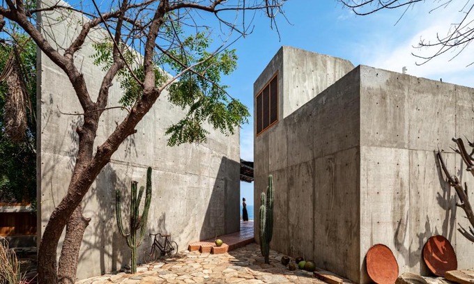 San Pedro Pochutla Villa | Casa del sapo