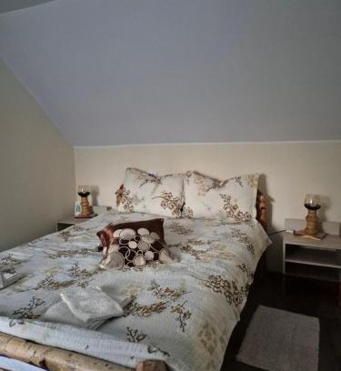 Toplita Casa | Casa din livadă - Cazare Măgheruș