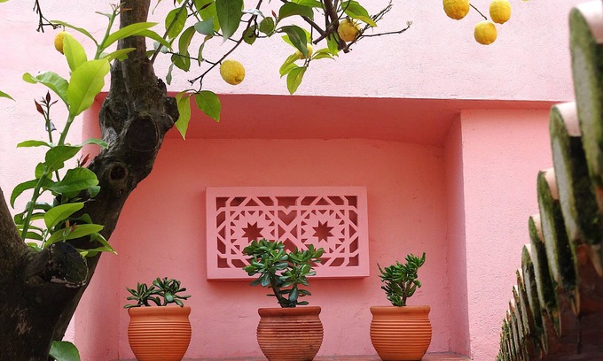 Serpa Casa | Casa do Limoeiro at Serpa's Historical Center