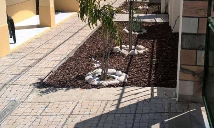 Quinta Do Conde Casa | Casa do Limoeiro - Planta baja
