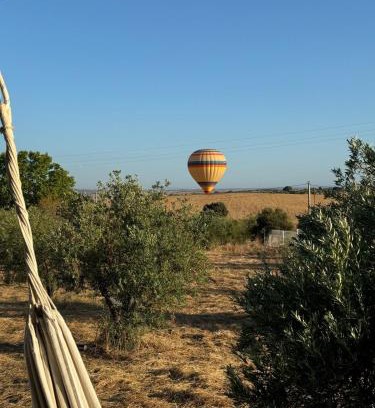 Mourao Casa | Casa do Montinho- Small Private House