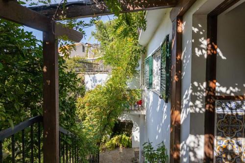 Peso da Regua Casa | Casa Dona Aninhas - Douro