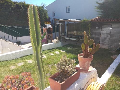 Maca Casa | Casa Dos Cedros