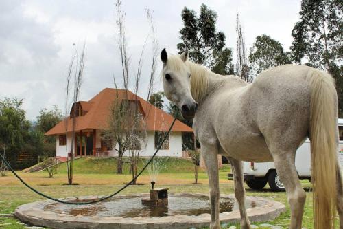 San Pablo del Lago Casa | Casa Ecológica Al Pie Del Volcán