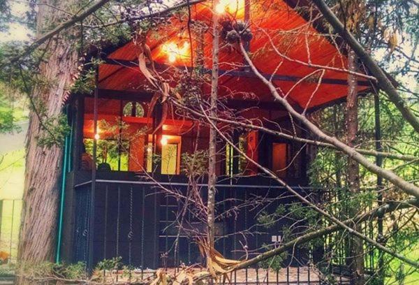 Pesca Casa | Casa En El Árbol Con Sauna somos PETFRIENDLY