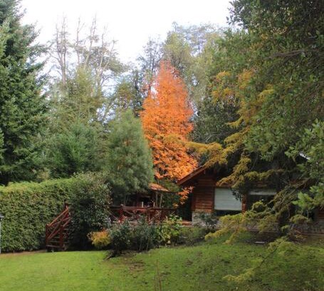 Puerto Manzano Casa | Casa en el bosque de Puerto Manzano