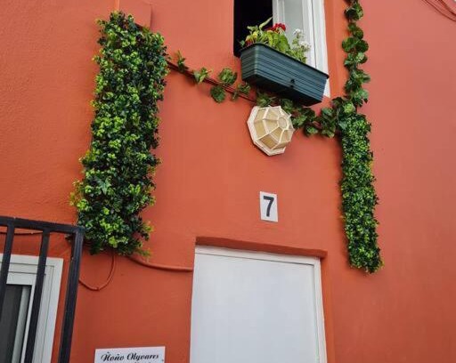 Teror Apartamento | Casa en Teror Céntrica turismo de ciudad y bosques
