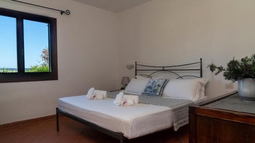 Baia Sant'Anna Apartamento | Casa EOS