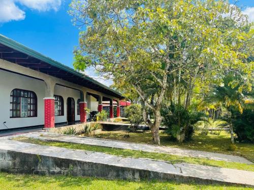 Daniel Flores Casa | Casa Eva Lodging Costa Rica