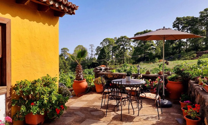 Puntagorda Cabaña | Casa Federico , rodeada de pinares y viñedos en Puntagorda, isla de La Palma