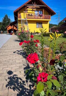 Sovata Apartamento | Casa Ferenczi Vendégház