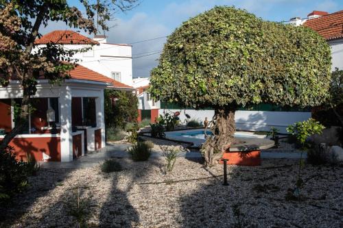 Foz do Arelho Casa | Casa Flamingo