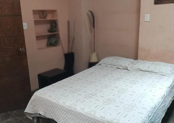 Zacatecas Centro Casa | Casa Flores