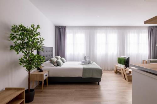 San Cristobal de La Laguna Apartamento | Casa Flori