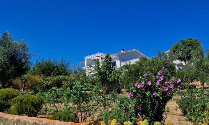 Vila de Rei Casa | Casa Grande Abrunheiro Grande