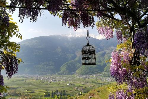 Tresivio Apartamento | Casa il Glicine Valtellina