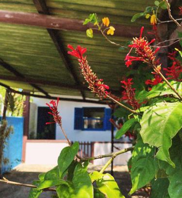 Manguinhos Casa | Casa Inaê