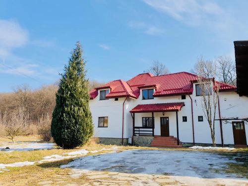 Rasnov Villa | Casa Ina Rasnov