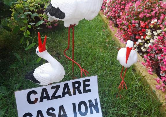 Horezu Casa | Casa Ion