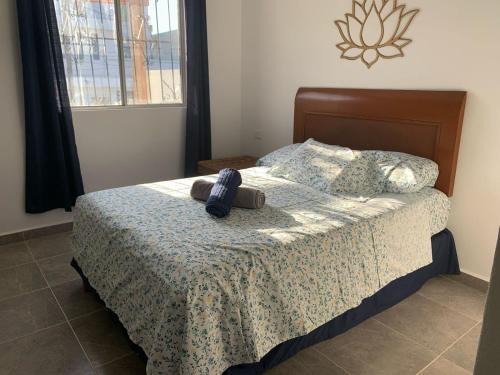 Puerto Juárez Cama Y Desayuno | CASA JARDIN