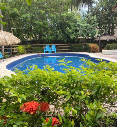 Palomino Hotel | Casa jungla Palomino