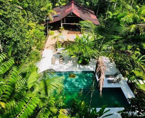Coffee Triangle Cabina | Casa Kiwi Lodge