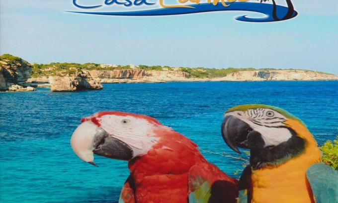 Cala Llombards Casa | Casa Larina - casa de vacaciones tranquila cerca de la playa