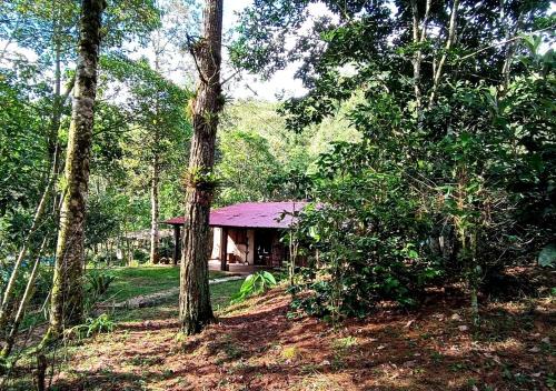 La Trinitaria Chalet De Esquí | Casa Leslie Lodge - Lagunas de Montebello