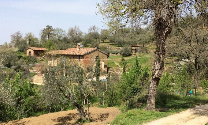 Panicale Otro | CASA LORENZO ~ TODA LA CASA DE CAMPO con impresionante piscina grande romana en olivar