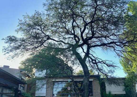 Córdoba Casa | Casa Los Algarrobos