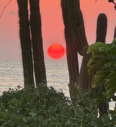 Troncones Casa | Casa Lovel