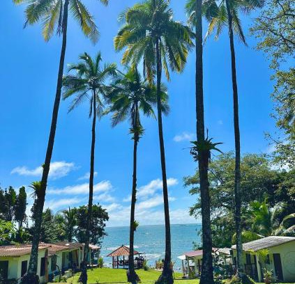 Santa Catalina Casa | Casa Manila