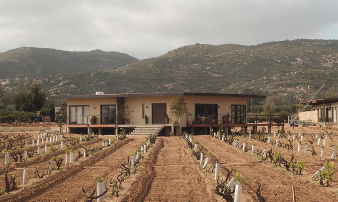 Valle de Guadalupe Villa | Casa Maul / Valle de Guadalupe / Increible Casa en Viñedo Privado