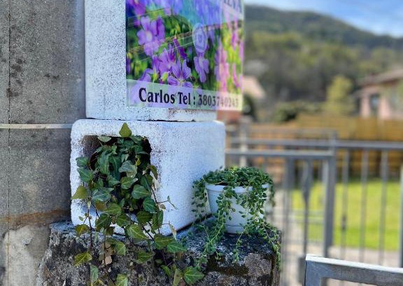 Ricco del Golfo di Spezia Apartamento | CASA MIA MALVA